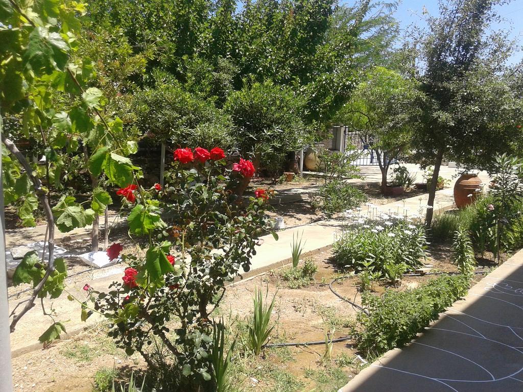 Aegean Harmony Apartment Platis Gialos  Exterior foto