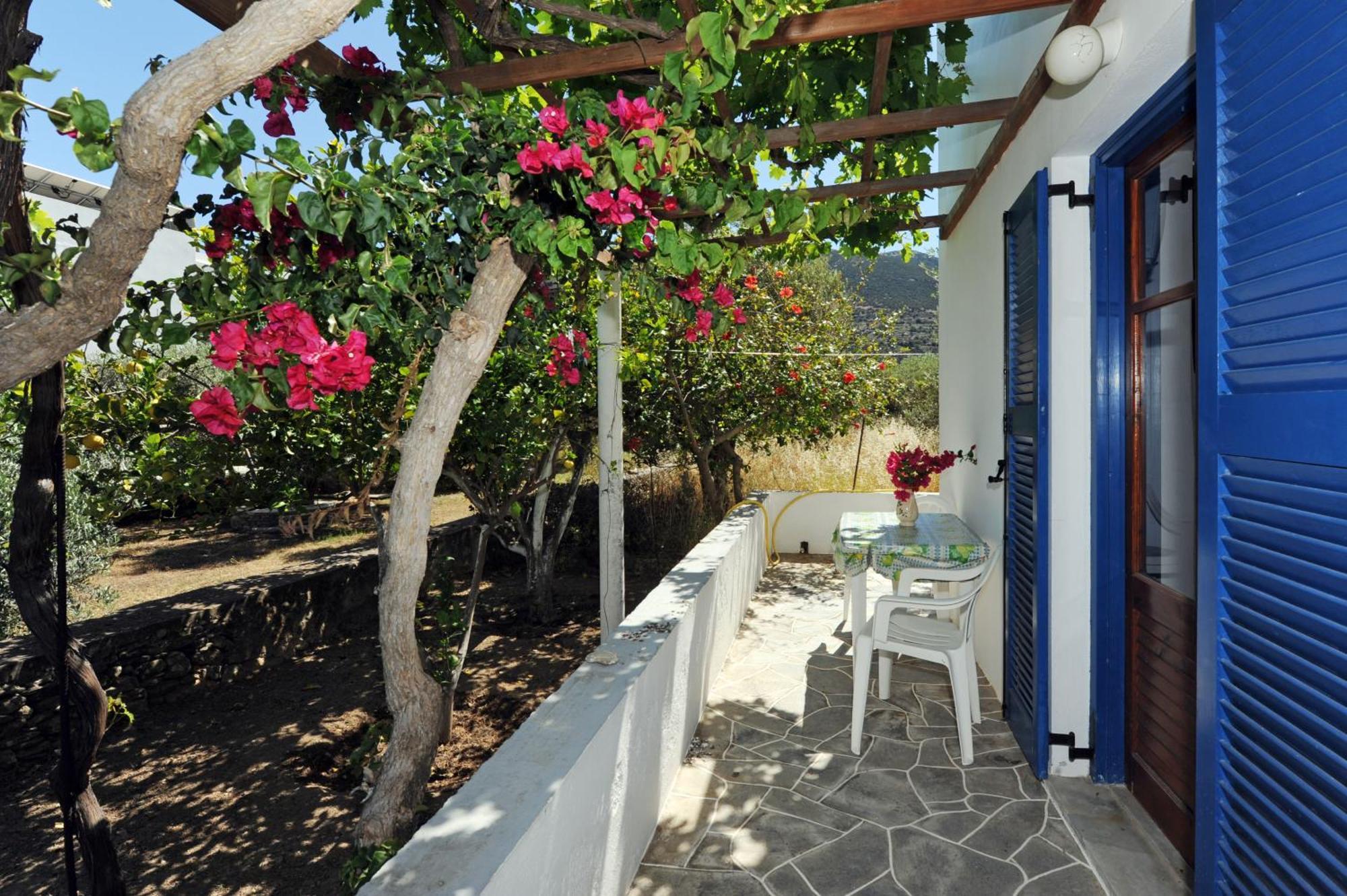 Aegean Harmony Apartment Platis Gialos  Exterior foto